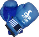 BOXING GLOVES 1