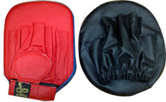 FOCUS PADS REAR 1